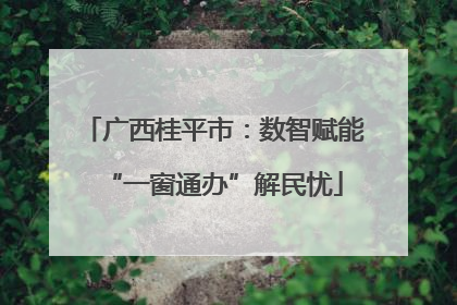 广西桂平市：数智赋能“一窗通办”解民忧